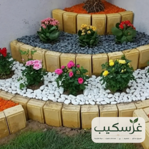 أحواض زراعة ونباتات خارجية في حديقة منزلية
