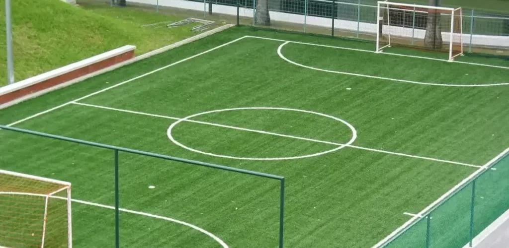 تنسيق وتجهيز الملاعب - غرسكيب