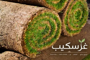 تنسيق لاندسكيب وتحديد تكلفة حديقة السطح