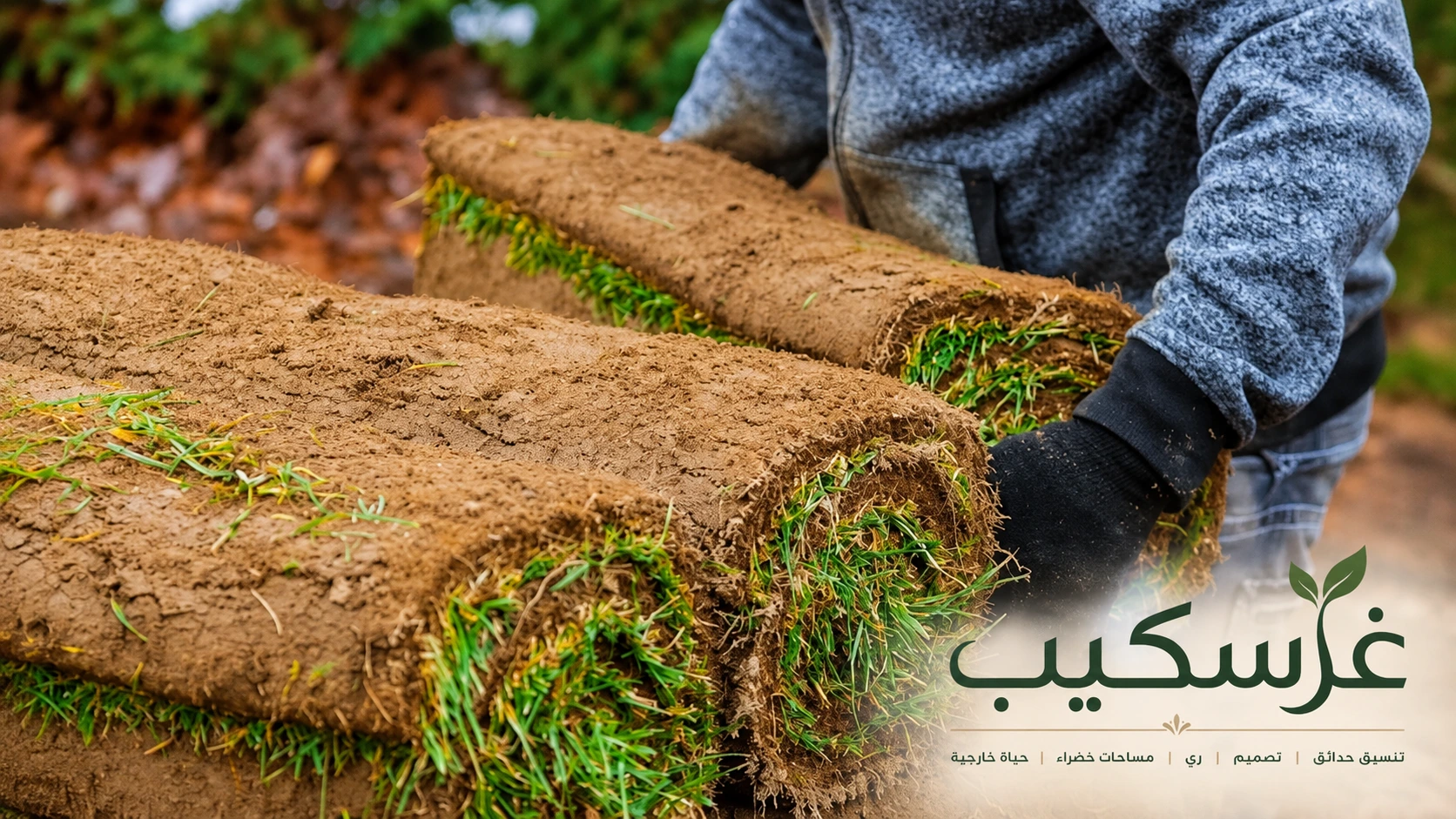 تصميم نباتي متوازن للحدائق