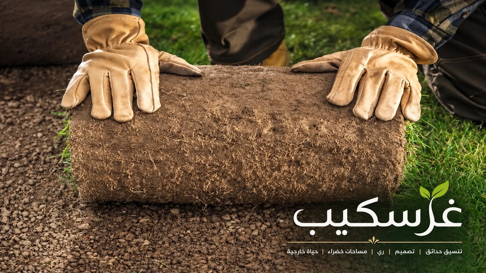 توزيع النباتات والشجيرات داخل الحديقة