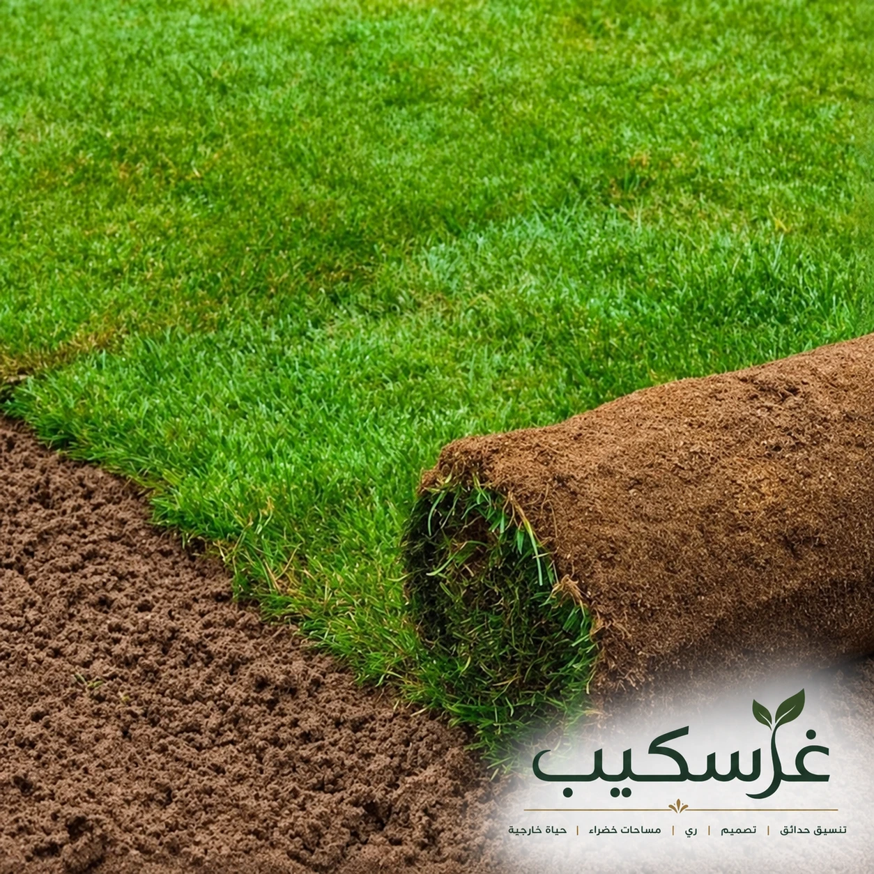 تنسيق ألوان النباتات داخل الحديقة