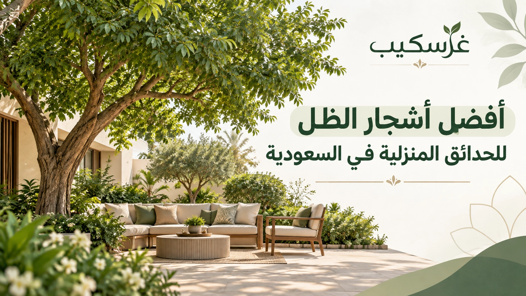 أفضل أشجار الظل للحدائق المنزلية في السعودية