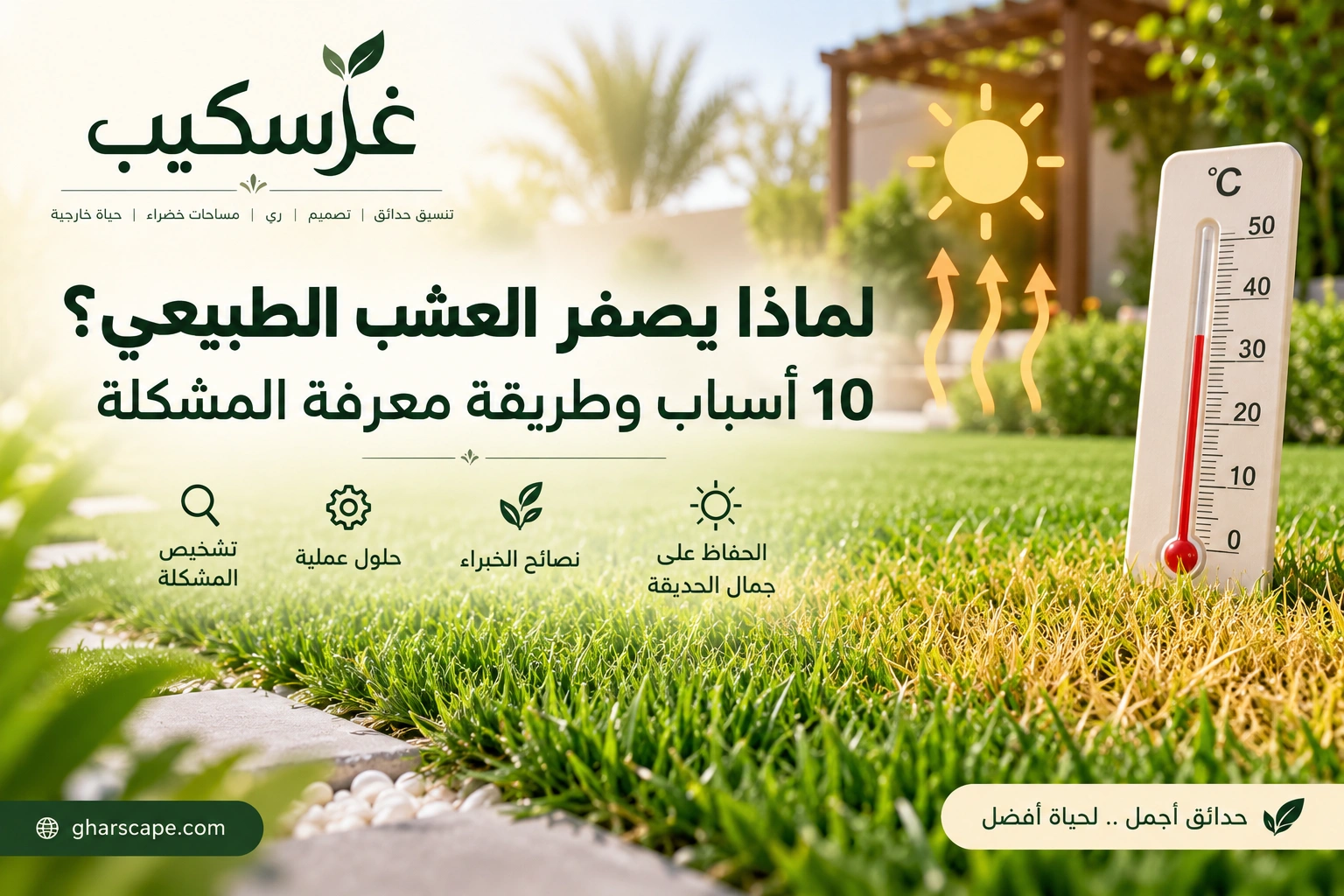 لماذا يصفر العشب الطبيعي؟ 10 أسباب وطريقة معرفة المشكلة